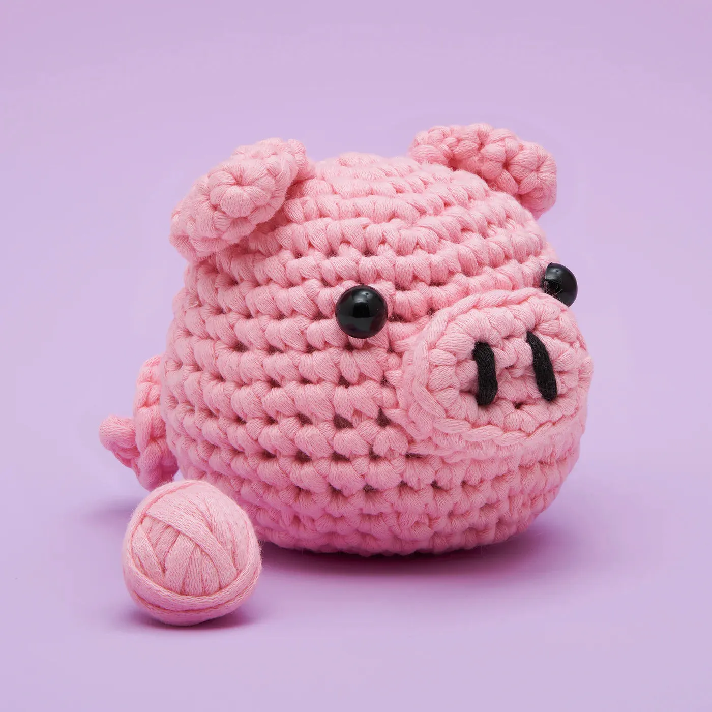 Bacon the Pig Learn to Crochet Kit