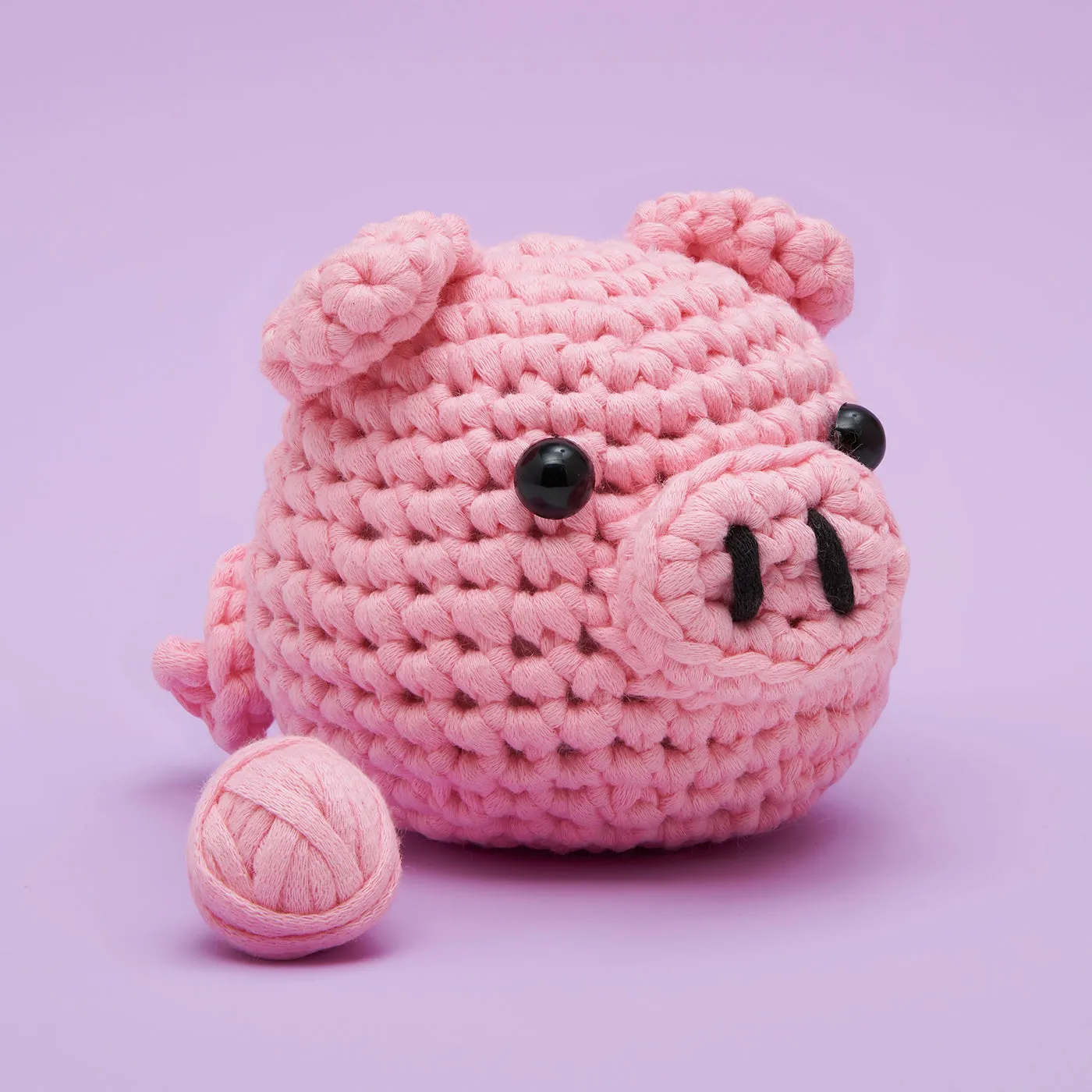 Bacon the Pig Learn to Crochet Kit