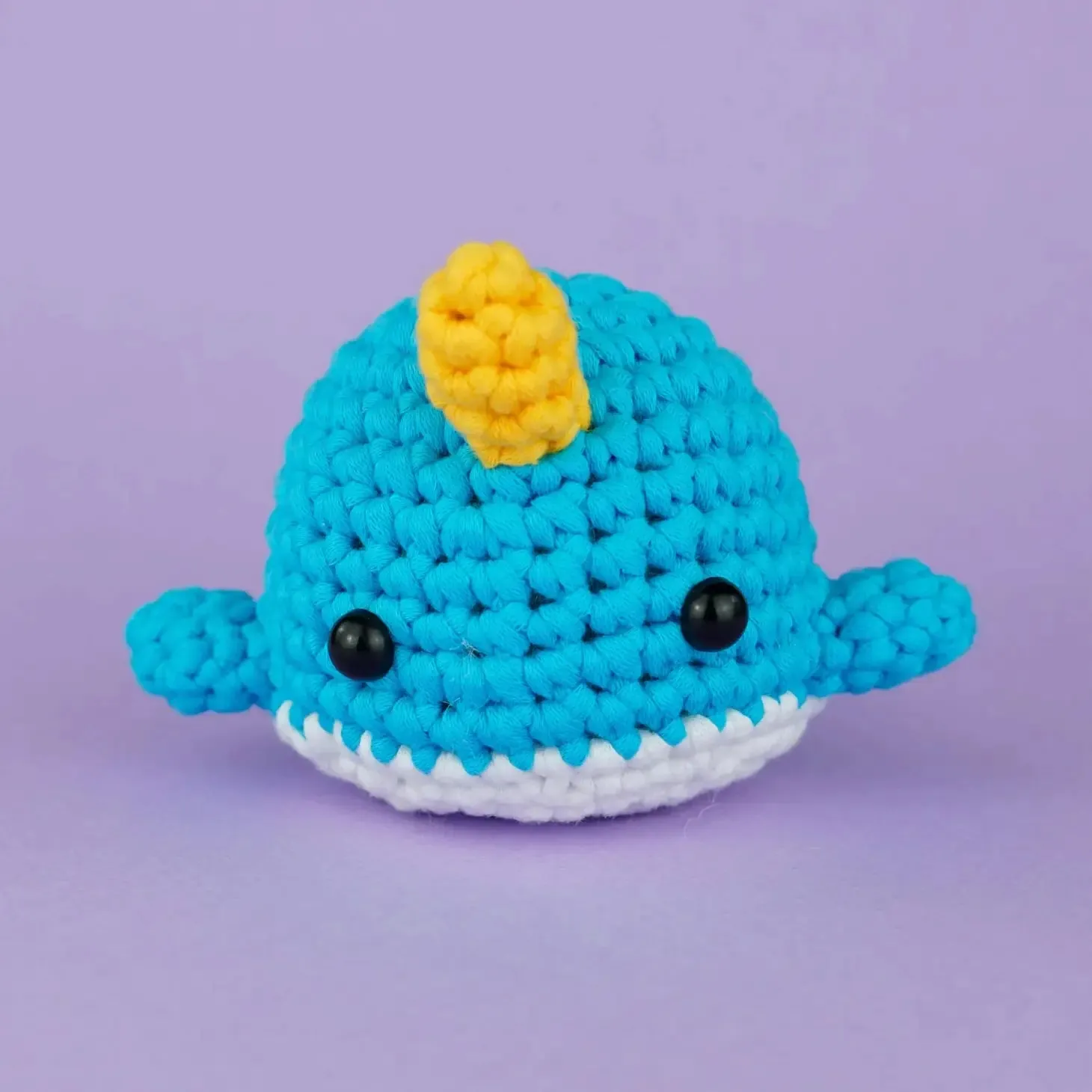 Bjorn the Narwhal Learn to Crochet Kit